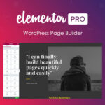 Elementor-Elementor-Pro-Pagebuilder-WordPress-Plugin