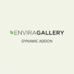 Envira-Gallery-Dynamic-Addon-WordPress-Plugin
