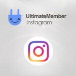 Ultimate-Member-Instagram-WordPress-Plugin