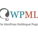 WordPress-Multilingual-Plugin